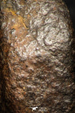 05280 - Fully Complete NWA L-H Type Unclassified Ordinary Chondrite Meteorite 9.3g