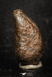 05280 - Fully Complete NWA L-H Type Unclassified Ordinary Chondrite Meteorite 9.3g