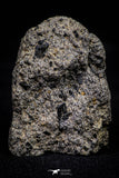 21001-149 - NWA Possible Achondrite Meteorite Hypabyssal Igneous Rock. In study. 6.1 g