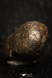 05280 - Fully Complete NWA L-H Type Unclassified Ordinary Chondrite Meteorite 9.3g