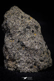 21001-149 - NWA Possible Achondrite Meteorite Hypabyssal Igneous Rock. In study. 6.1 g