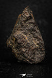 05281 - Partial NWA L-H Type Unclassified Ordinary Chondrite Meteorite 28.1g