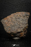 05281 - Partial NWA L-H Type Unclassified Ordinary Chondrite Meteorite 28.1g