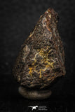 05281 - Partial NWA L-H Type Unclassified Ordinary Chondrite Meteorite 28.1g