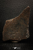 05282 - Nice Polished Section NWA Unclassified L-H Type Ordinary Chondrite Meteorite 29.6g