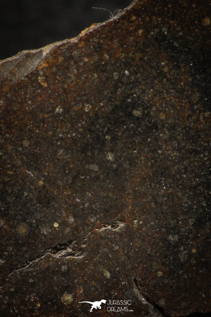 05282 - Nice Polished Section NWA Unclassified L-H Type Ordinary Chondrite Meteorite 29.6g