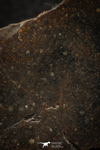 05282 - Nice Polished Section NWA Unclassified L-H Type Ordinary Chondrite Meteorite 29.6g