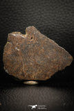 05283 - Nice Polished Section NWA Unclassified L-H Type Ordinary Chondrite Meteorite 34.8g