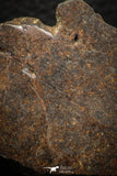 05283 - Nice Polished Section NWA Unclassified L-H Type Ordinary Chondrite Meteorite 34.8g