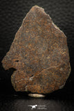 05283 - Nice Polished Section NWA Unclassified L-H Type Ordinary Chondrite Meteorite 34.8g