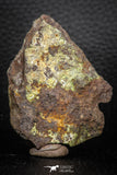 05283 - Nice Polished Section NWA Unclassified L-H Type Ordinary Chondrite Meteorite 34.8g