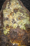 05283 - Nice Polished Section NWA Unclassified L-H Type Ordinary Chondrite Meteorite 34.8g