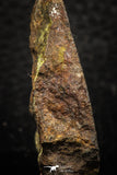 05283 - Nice Polished Section NWA Unclassified L-H Type Ordinary Chondrite Meteorite 34.8g