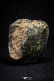 21002-63 - NWA Possible Achondrite Meteorite Porphyritic Basalt. In study. 244.1 g