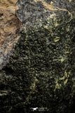 21002-63 - NWA Possible Achondrite Meteorite Porphyritic Basalt. In study. 244.1 g