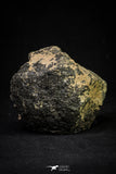 21002-63 - NWA Possible Achondrite Meteorite Porphyritic Basalt. In study. 244.1 g