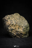 21002-63 - NWA Possible Achondrite Meteorite Porphyritic Basalt. In study. 244.1 g