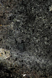 21002-63 - NWA Possible Achondrite Meteorite Porphyritic Basalt. In study. 244.1 g