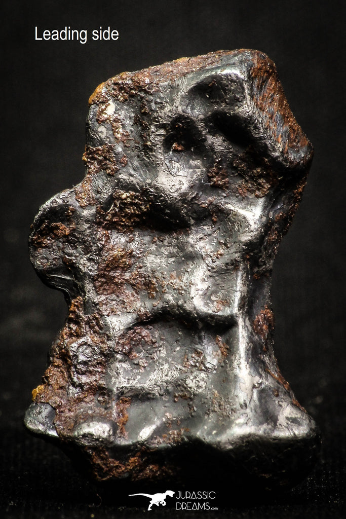 07011 - Taza (NWA 859) Iron Ungrouped Plessitic Octahedrite Meteorite 12.4g ORIENTED