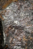 07011 - Taza (NWA 859) Iron Ungrouped Plessitic Octahedrite Meteorite 12.4g ORIENTED