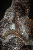 07012 - Taza (NWA 859) Iron Ungrouped Plessitic Octahedrite Meteorite 5.3g ORIENTED