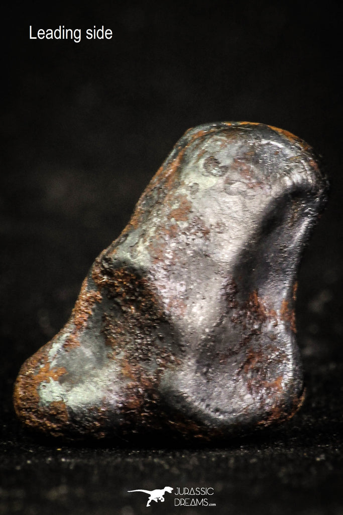 07013 - Taza (NWA 859) Iron Ungrouped Plessitic Octahedrite Meteorite 7.7g ORIENTED