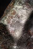 07013 - Taza (NWA 859) Iron Ungrouped Plessitic Octahedrite Meteorite 7.7g ORIENTED