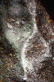 07013 - Taza (NWA 859) Iron Ungrouped Plessitic Octahedrite Meteorite 7.7g ORIENTED