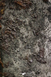 07014 - Taza (NWA 859) Iron Ungrouped Plessitic Octahedrite Meteorite 4.8g ORIENTED