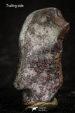 07014 - Taza (NWA 859) Iron Ungrouped Plessitic Octahedrite Meteorite 4.8g ORIENTED