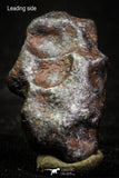 07015 - Taza (NWA 859) Iron Ungrouped Plessitic Octahedrite Meteorite 6.1g ORIENTED