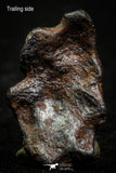 07015 - Taza (NWA 859) Iron Ungrouped Plessitic Octahedrite Meteorite 6.1g ORIENTED