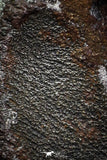 07016 - Taza (NWA 859) Iron Ungrouped Plessitic Octahedrite Meteorite 6.6g ORIENTED