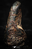 05285 - Taza (NWA 859) Iron Ungrouped Plessitic Octahedrite Meteorite 0.8g