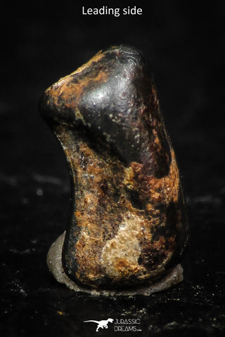05286 - Taza (NWA 859) Iron Ungrouped Plessitic Octahedrite Meteorite 0.7g ORIENTED