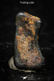 05286 - Taza (NWA 859) Iron Ungrouped Plessitic Octahedrite Meteorite 0.7g ORIENTED