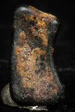05286 - Taza (NWA 859) Iron Ungrouped Plessitic Octahedrite Meteorite 0.7g ORIENTED