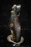 05287 - Taza (NWA 859) Iron Ungrouped Plessitic Octahedrite Meteorite 0.5g ORIENTED