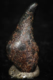 05288 - Taza (NWA 859) Iron Ungrouped Plessitic Octahedrite Meteorite 0.6g ORIENTED