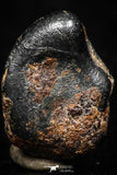 05289 - Taza (NWA 859) Iron Ungrouped Plessitic Octahedrite Meteorite 0.9g ORIENTED