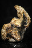 05290 - Taza (NWA 859) Iron Ungrouped Plessitic Octahedrite Meteorite 1.0g