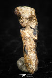 05290 - Taza (NWA 859) Iron Ungrouped Plessitic Octahedrite Meteorite 1.0g