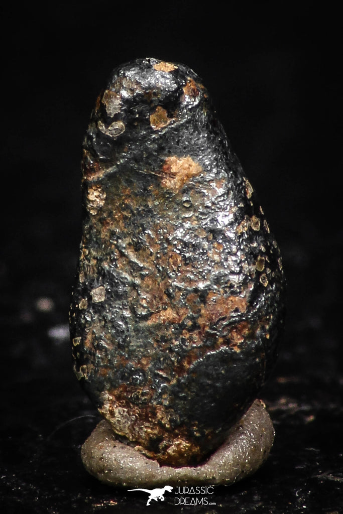 05291 - Taza (NWA 859) Iron Ungrouped Plessitic Octahedrite Meteorite 0.8g