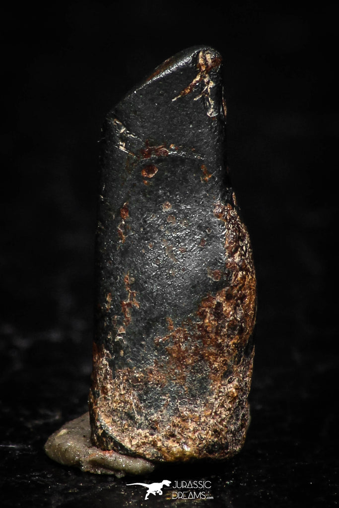 05292 - Taza (NWA 859) Iron Ungrouped Plessitic Octahedrite Meteorite 1.2g ORIENTED