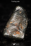 05293 - Taza (NWA 859) Iron Ungrouped Plessitic Octahedrite Meteorite 0.5g ORIENTED