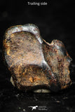 05295 - Taza (NWA 859) Iron Ungrouped Plessitic Octahedrite Meteorite 0.9g ORIENTED