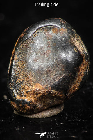 05296 - Taza (NWA 859) Iron Ungrouped Plessitic Octahedrite Meteorite 1.4g ORIENTED