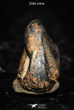 05296 - Taza (NWA 859) Iron Ungrouped Plessitic Octahedrite Meteorite 1.4g ORIENTED