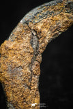 05297 - Taza (NWA 859) Iron Ungrouped Plessitic Octahedrite Meteorite 0.6g ORIENTED
