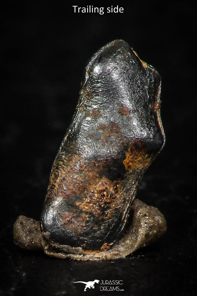 05299 - Taza (NWA 859) Iron Ungrouped Plessitic Octahedrite Meteorite 0.4g ORIENTED